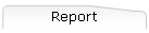 Report