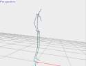 Forearm_Skeleton_Fast.avi