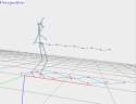 Walking_Skeleton_Fast.avi