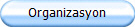 Organizasyon