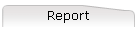 Report