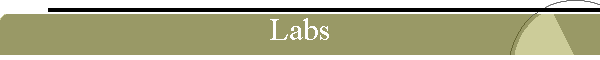 Labs
