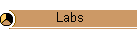 Labs