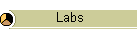 Labs