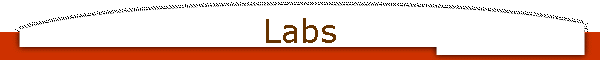 Labs