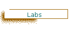 Labs