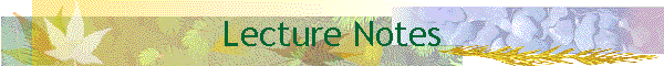 Lecture Notes