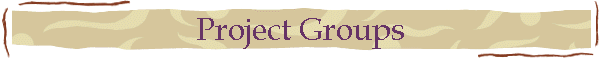 Project Groups
