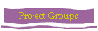 Project Groups