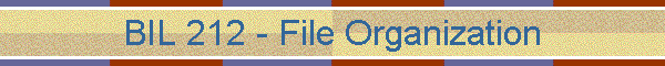 BIL 212 - File Organization